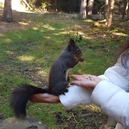 Apartamento Winterzsuber *