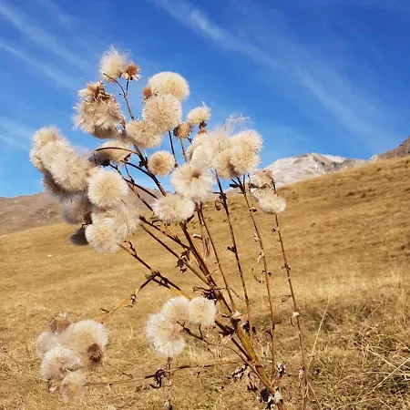Winterzsuber Lenzerheide