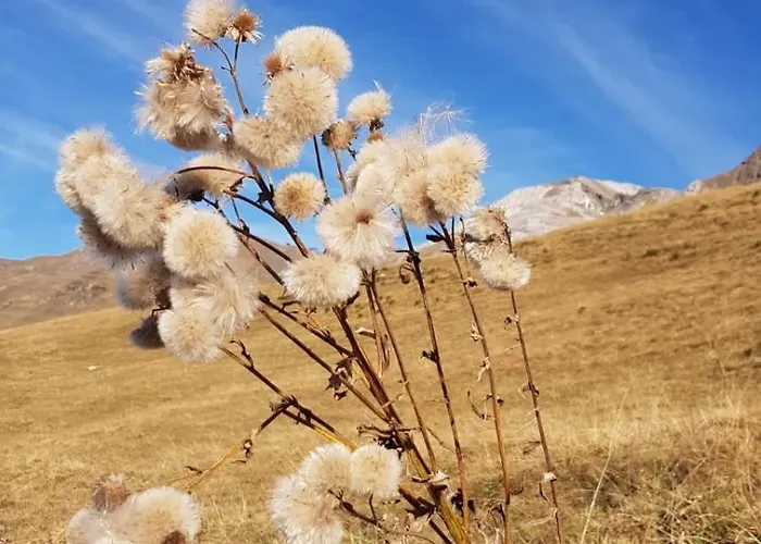 Winterzsuber Lenzerheide